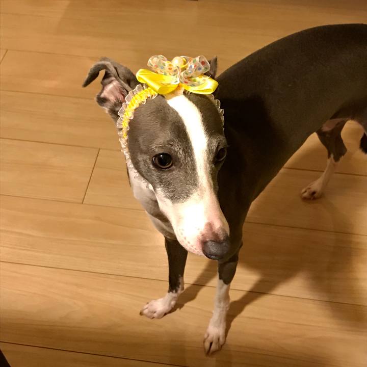 9f60a9c1 b994 4913 91e9 ce3b35ad0ae2