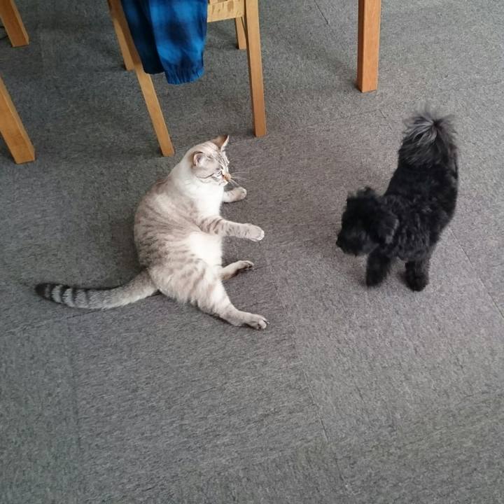 9f60d23d 610d 4883 8869 5f4fe9480830