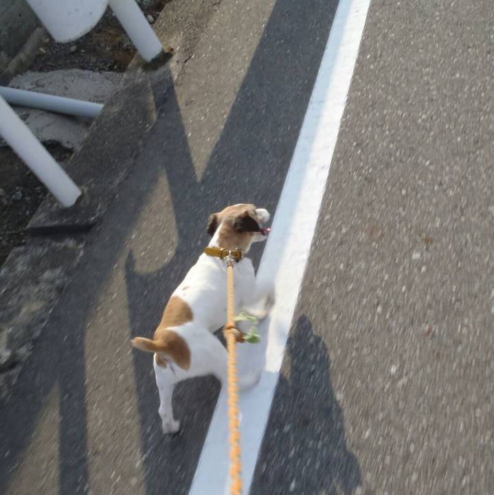 9f616ece c9cb 4e7a 95f3 8785a26632b3