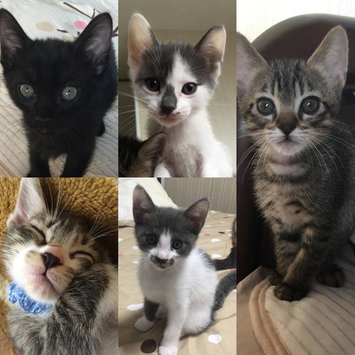 9f61d2c8 c196 41b6 92cd ef960e51f4d4