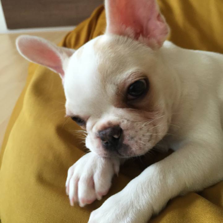 9f622026 febf 4d42 a30c 809e2abc200c