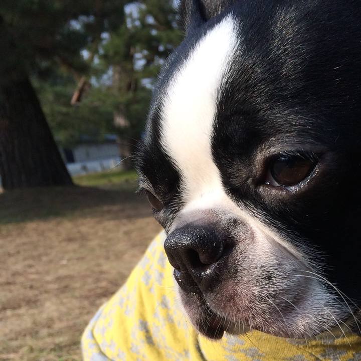 9f6225a3 31a5 4c6f 96ee 1c54a11ab59a