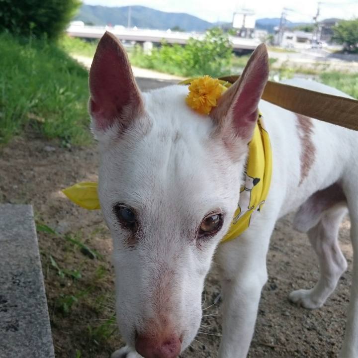 9f628c9d dccb 4417 b09a fd87b8f1536c