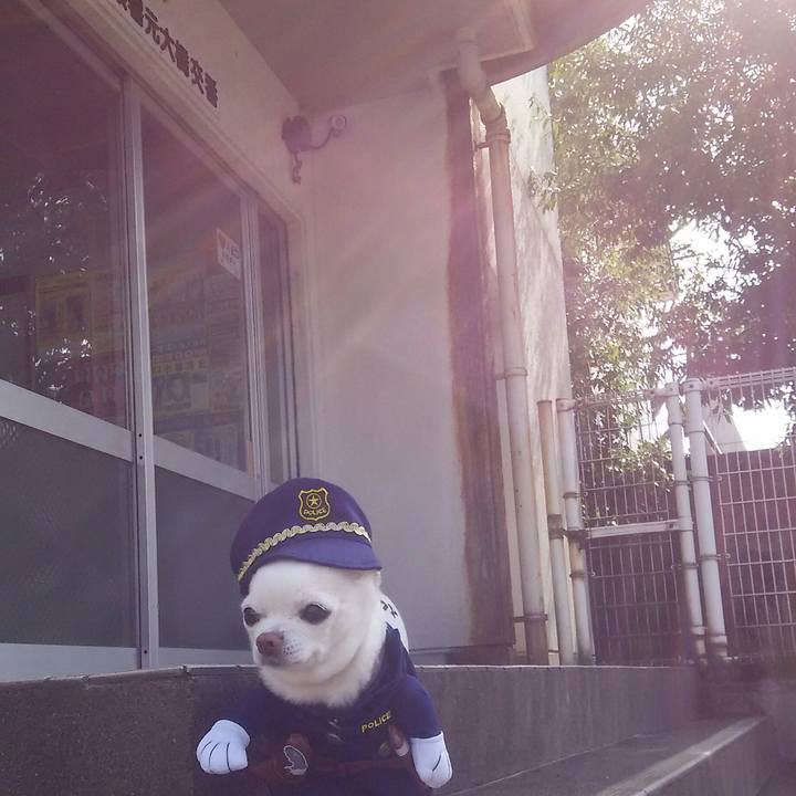 9f62b4e2 7d7e 4cb8 a1e2 f5e0db925d23