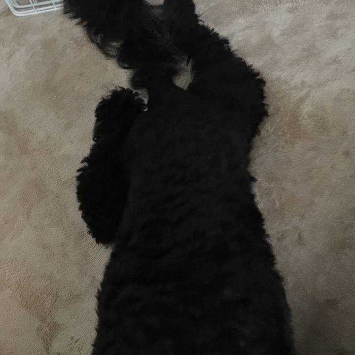 9f62ff98 6945 417b 97eb fe9d5683d6b2