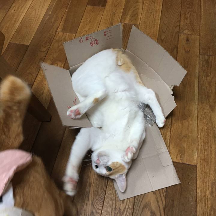 9f639cea 2a96 49f7 98f1 69605b6e1159