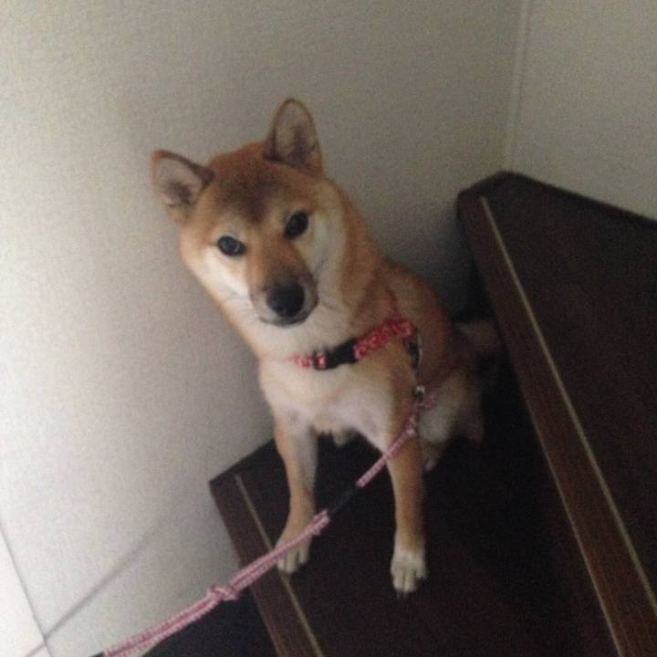 9f639d51 31e6 4c55 8068 fb9f2a8988d0