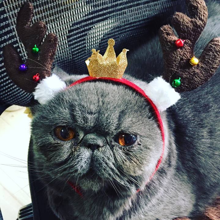 9f63a5bd c4e4 4835 890c 05e6b593d461