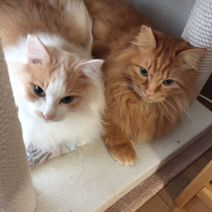 9f63d0ca 2615 46ca 90b9 e6871bcbf151