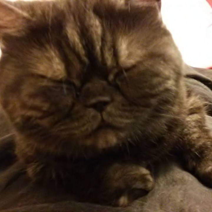 9f643907 125f 45f4 a94e 9cae8c4dfe34