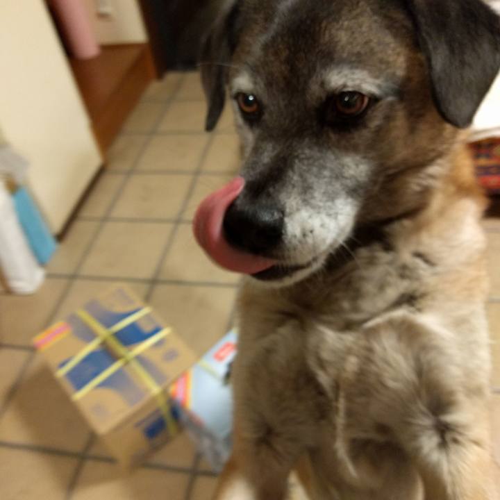 9f644f62 d79c 4313 8068 b2eb79020b88