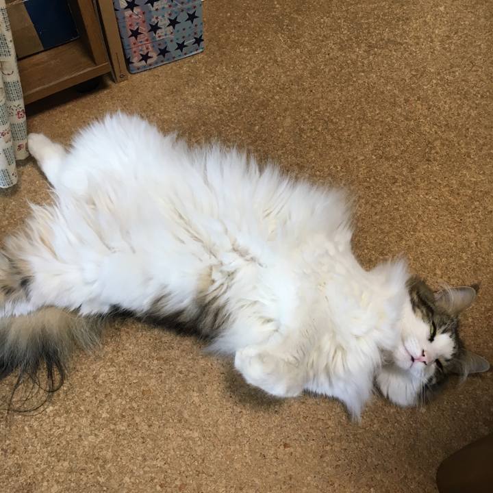 9f64bcc4 e586 4de7 aee0 d9e06b1d989b