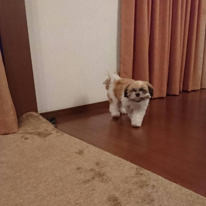 9f64ca83 fc7c 458d b362 2812dcc954a6