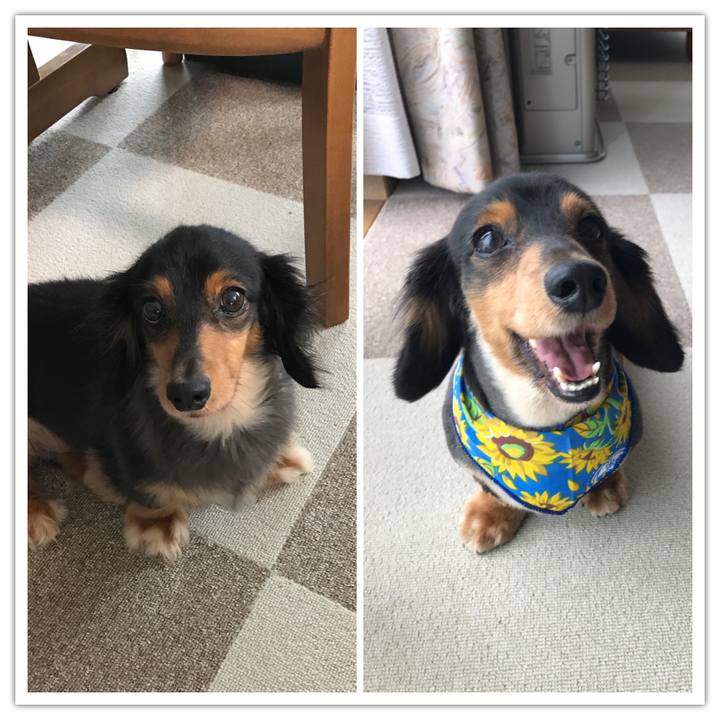 9f650947 e2bd 4eab 912c ee71d64250b0