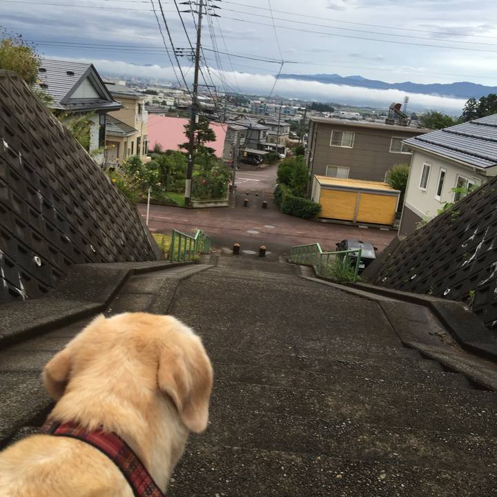 9f658b9f aa0e 4fac b6e0 aea49678cc65