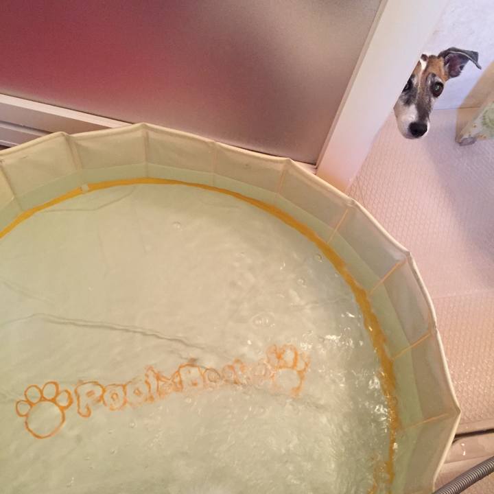 9f65c783 e433 4874 881b f2540bb99823