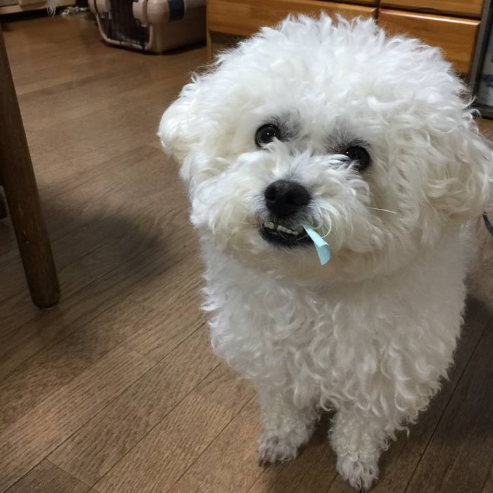 9f6617fd 2ca5 4bf2 9516 f4da567d49d7