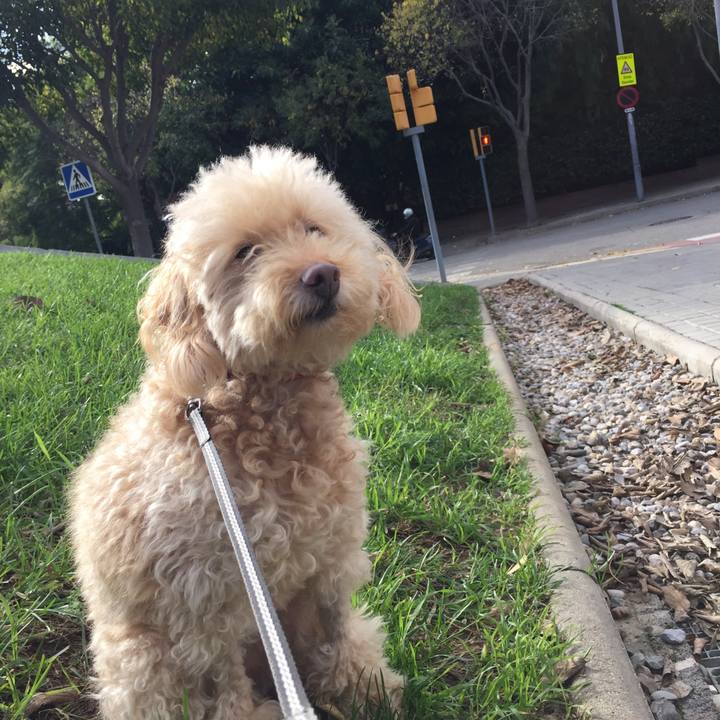 9f661d74 d421 4676 bdf3 4b0cf518c67b