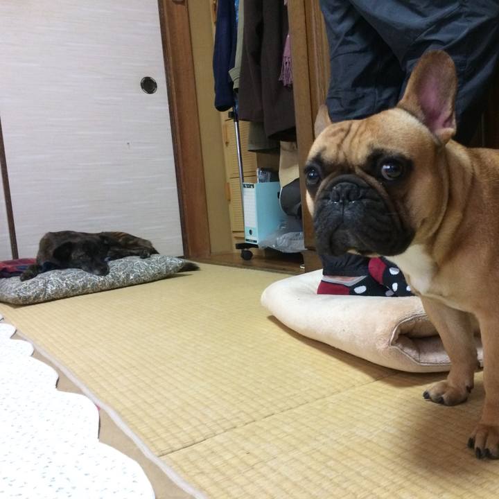 9f670341 691d 4b33 a966 ed1232945711