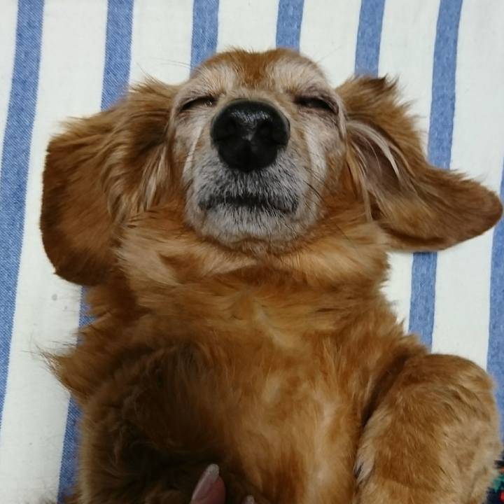 9f67ccb3 e4a8 46c6 800f 1fe48af0da8d