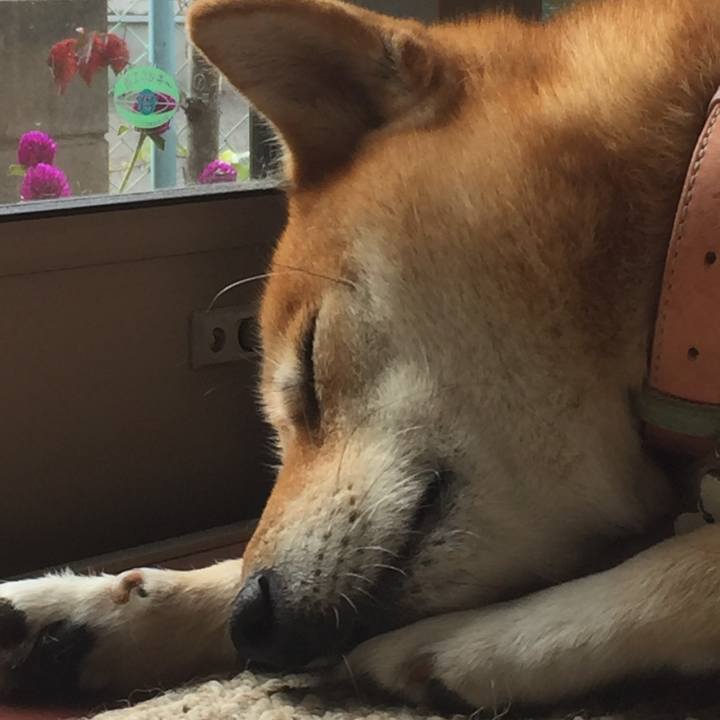 9f67cf59 9ee2 48c4 a9a9 db4cd51c24bd