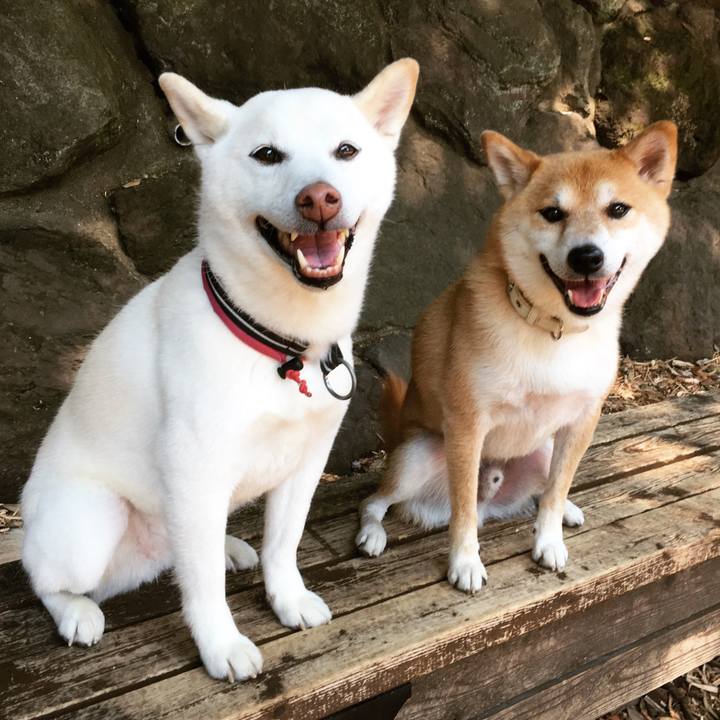 9f67d389 7477 4be1 88f8 4be940d979ca