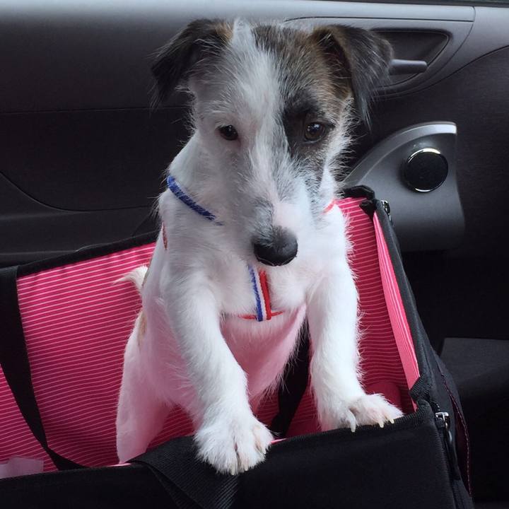 9f683f86 63a8 44bb bb86 852159a80570