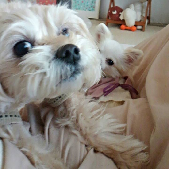 9f68ef20 2641 40b7 b378 c866c81824f7