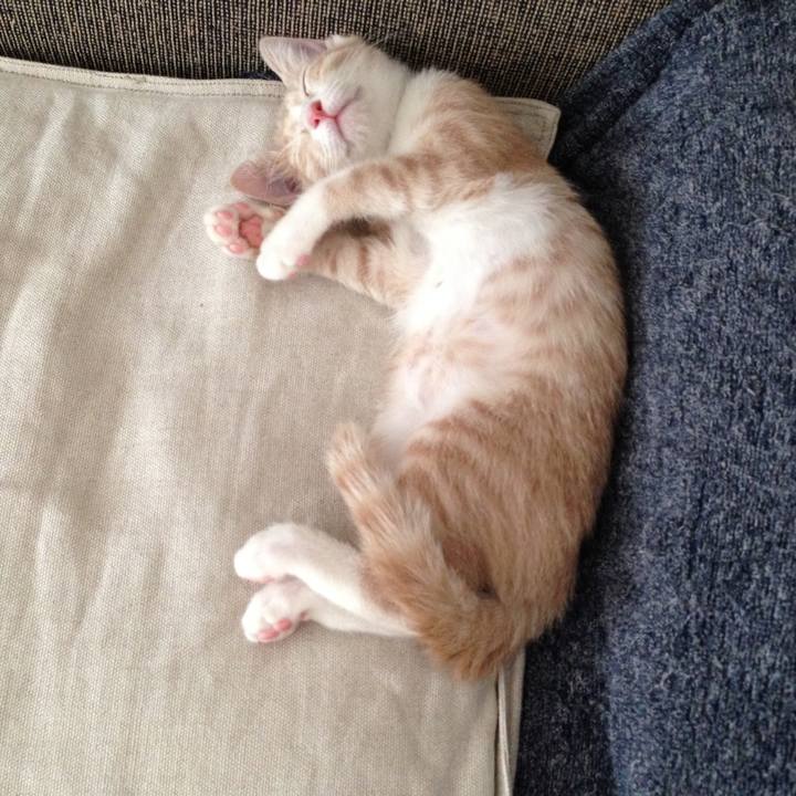 9f697de6 ee1e 4615 85f3 4af58c6aeb93