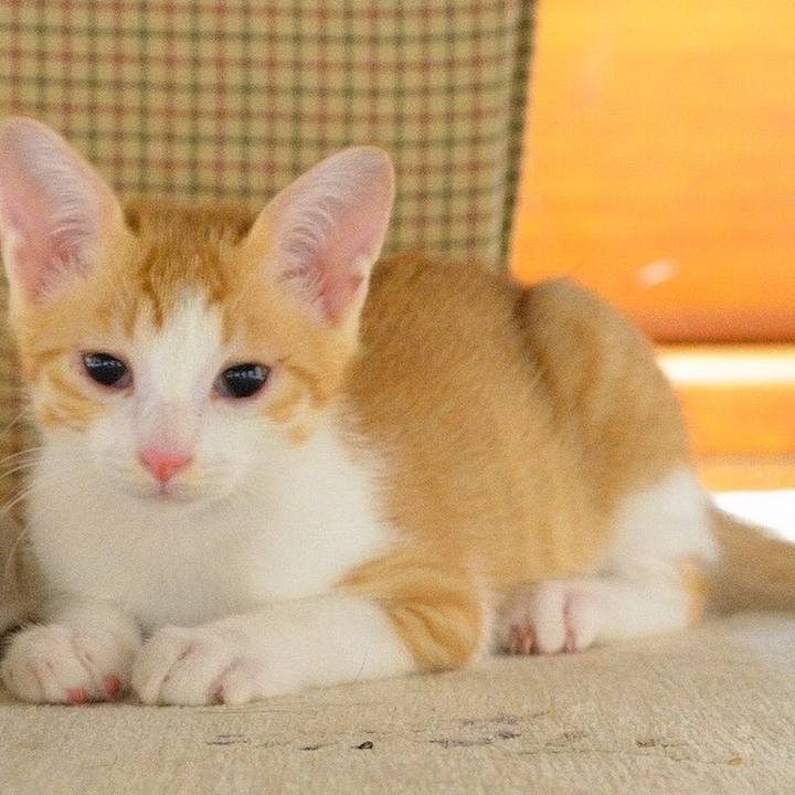 9f69b78b ddb6 4f69 aaad 5984bbadab47