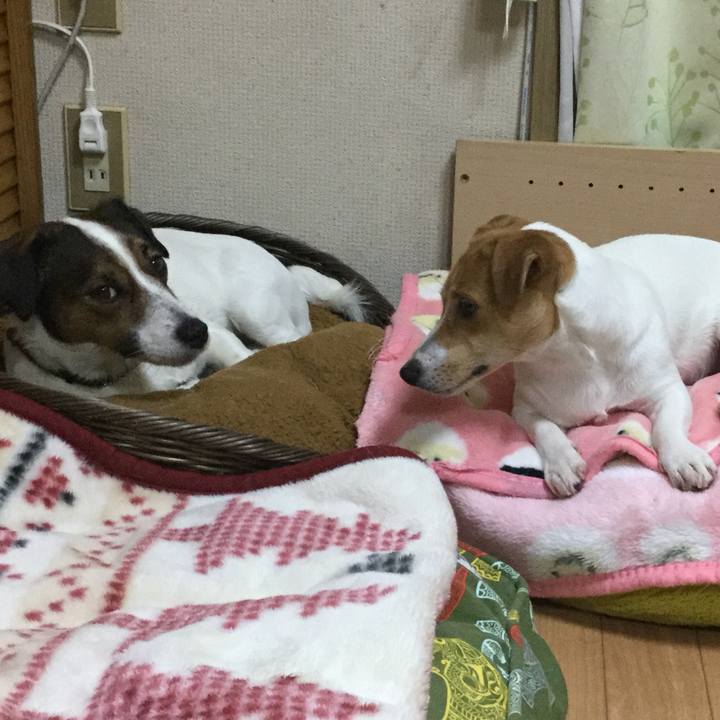 9f69e520 17a4 4383 ae83 bf99275165c7