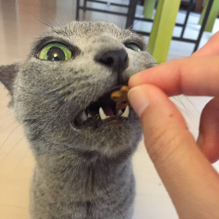 9f6b7051 29e9 49ee 9621 f0b5c7d5f900