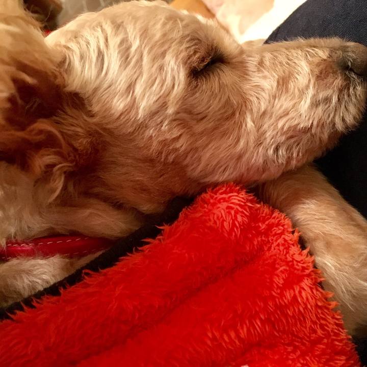 9f6bdc68 63c5 42fa 895a 67b8ecdd87cb