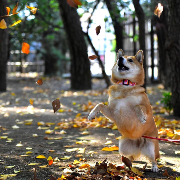 9f6c9809 e1d5 4a89 88f6 f684d3c3a023