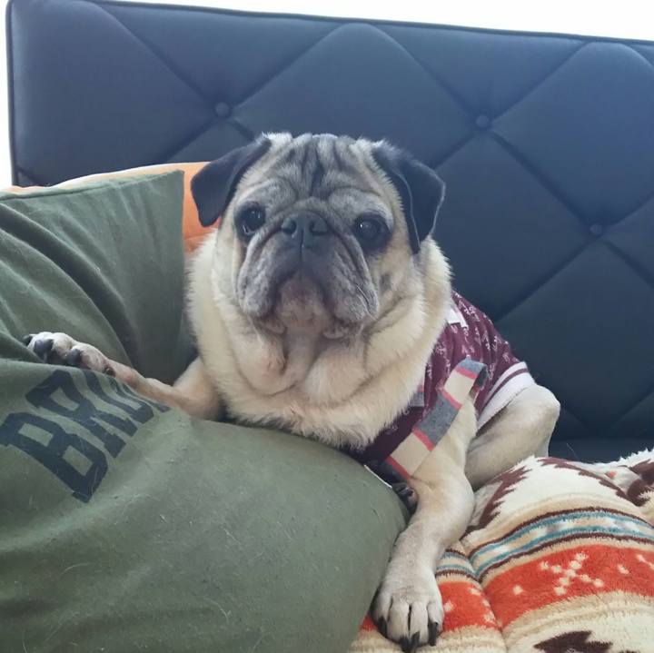 9f6d50d3 f055 4d92 b093 22b7a97cce81