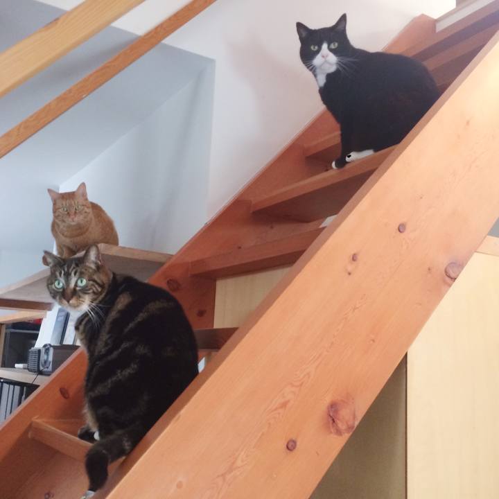 9f6d642b 281a 47bf a896 0f87e83a981d