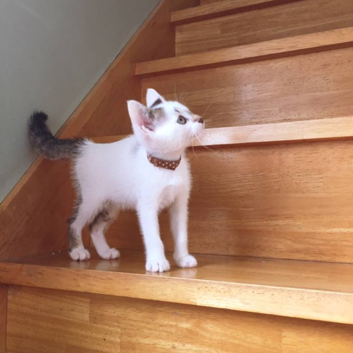 9f6e25c6 5c5a 4662 826e fdd5c9d6382d