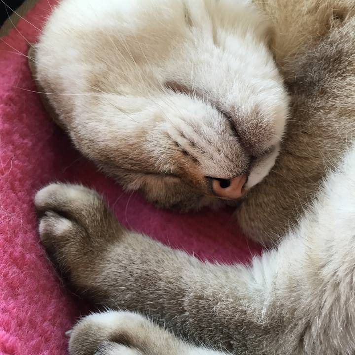 9f6e4dd9 38e5 4a09 929c 29c0c07e1b02