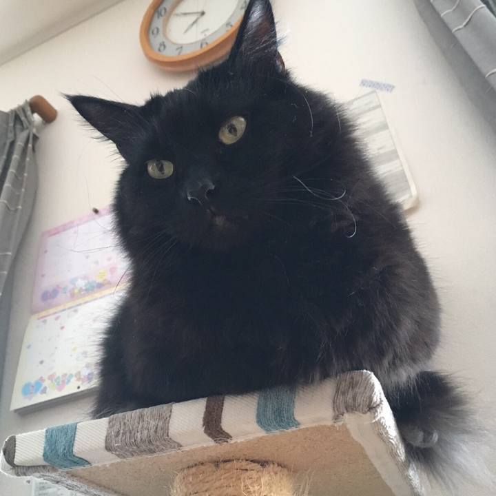 9f6e954d 0e35 42be 90e3 40f67ca17cf7