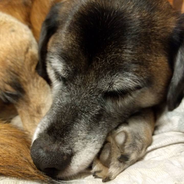 9f6ea4c4 8209 4cf5 aa79 c701ebdfe8d6