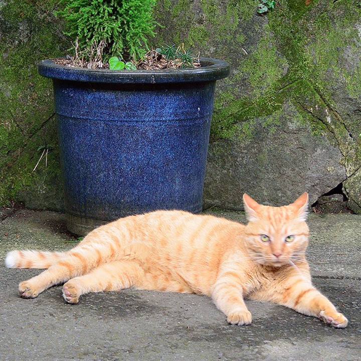 9f6f1cf1 0506 4468 97a4 6353f7361170