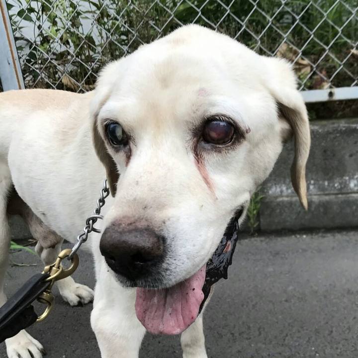 9f6f4a66 d585 4190 8aef 31cb00ff14af