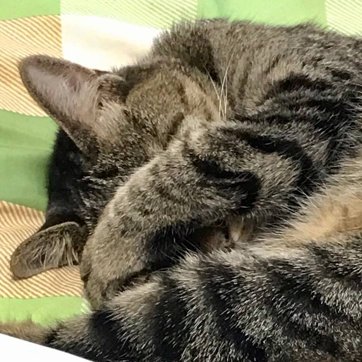 9f6f4f7b cd59 48de 9ece bb640b62e18c