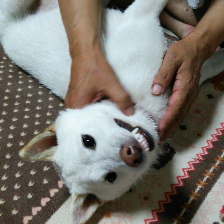 9f707e3a 229a 41ca b4f0 f37d7a1e16c6