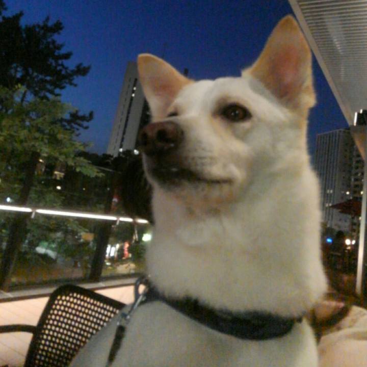 9f70c552 9308 42a1 923a b35c0260f954