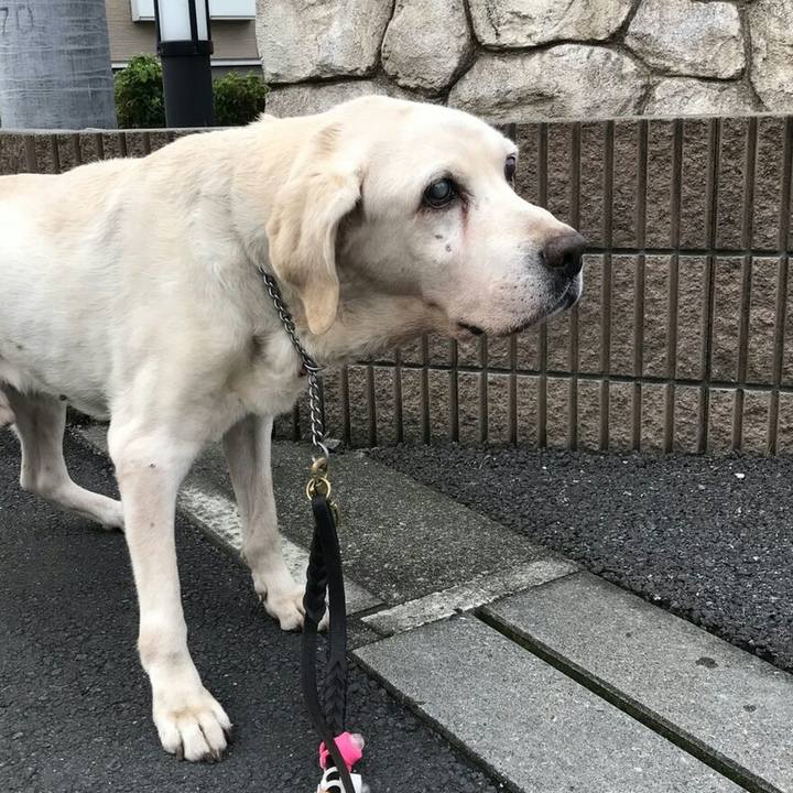 9f70d733 3957 4e5d 8faa 7a9dea3a946e