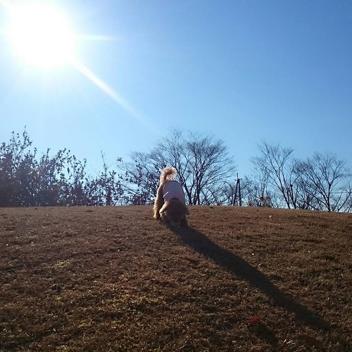 9f710880 d0f5 473f 92fe 2a9780fee9fa