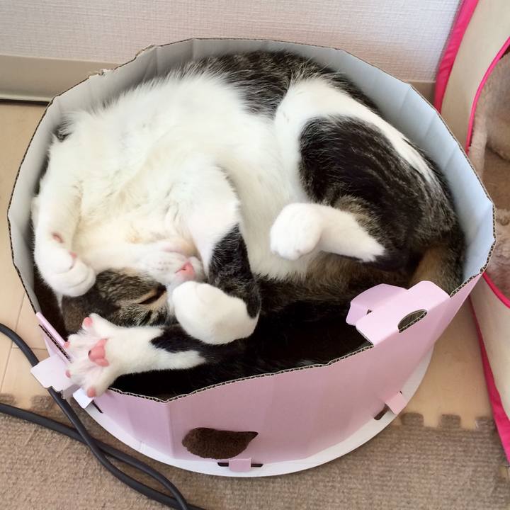 9f7219d6 8f68 4a5e a30b 8d6c6fc6b01e