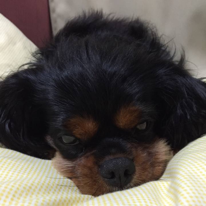 9f724864 b3f8 4b43 a043 07f16d1e8154