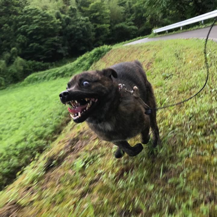 9f72c569 0fdf 4b42 b901 e208611bf586